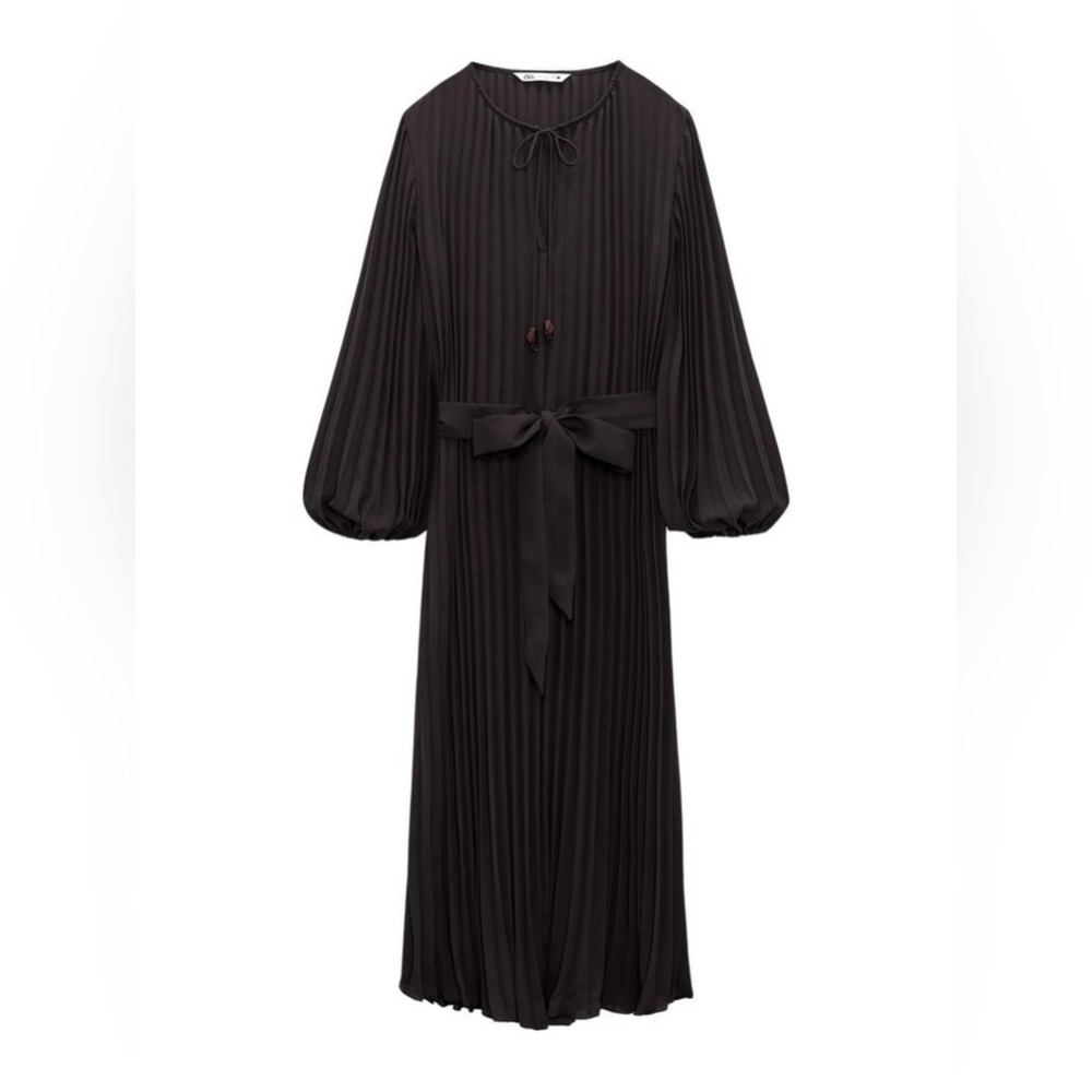 Long pleated dress